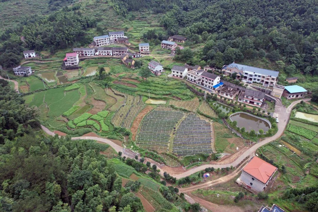 微信图片_20221229145735.jpg 微信图片_20221229145735.jpg